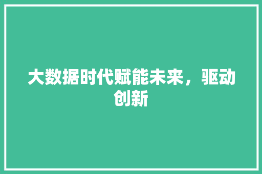 大数据时代赋能未来，驱动创新  第1张