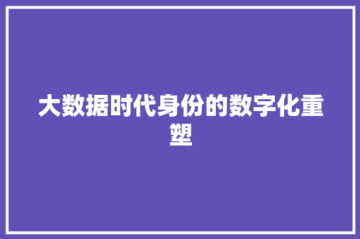大数据时代身份的数字化重塑