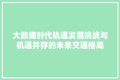 大数据时代轨道发展挑战与机遇并存的未来交通格局