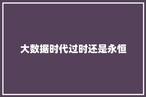 大数据时代过时还是永恒  第1张