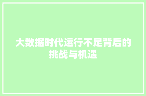大数据时代运行不足背后的挑战与机遇