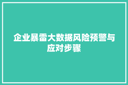 企业暴雷大数据风险预警与应对步骤