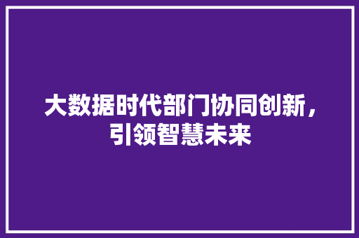 大数据时代部门协同创新，引领智慧未来