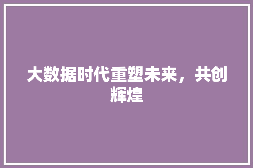 大数据时代重塑未来，共创辉煌  第1张