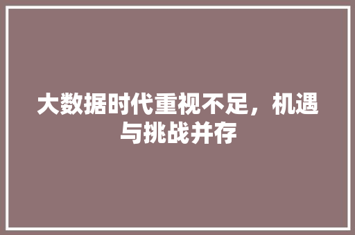 大数据时代重视不足，机遇与挑战并存  第1张