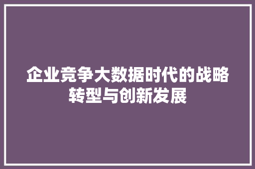 企业竞争大数据时代的战略转型与创新发展