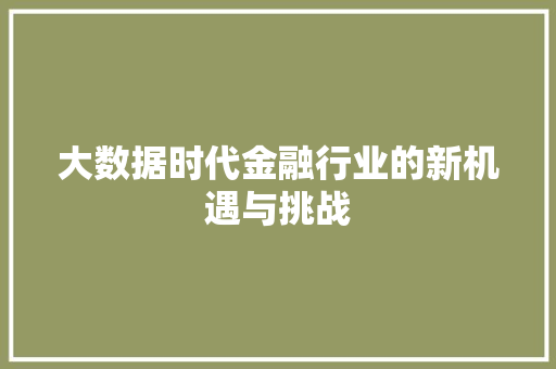 大数据时代金融行业的新机遇与挑战