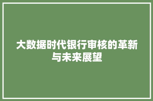 大数据时代银行审核的革新与未来展望
