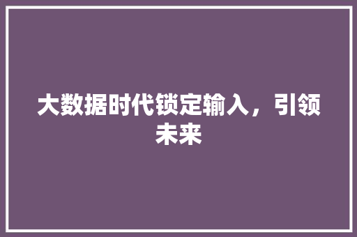 大数据时代锁定输入，引领未来