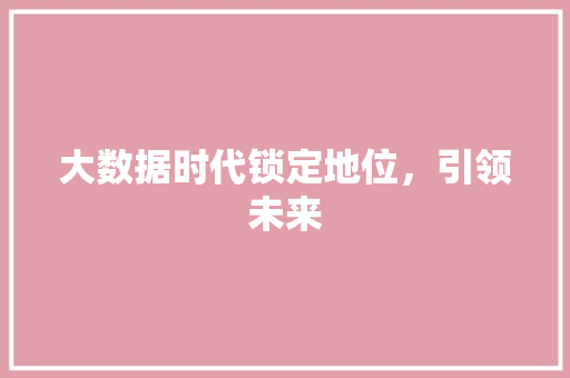 大数据时代锁定地位，引领未来