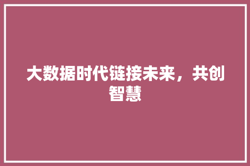 大数据时代链接未来，共创智慧