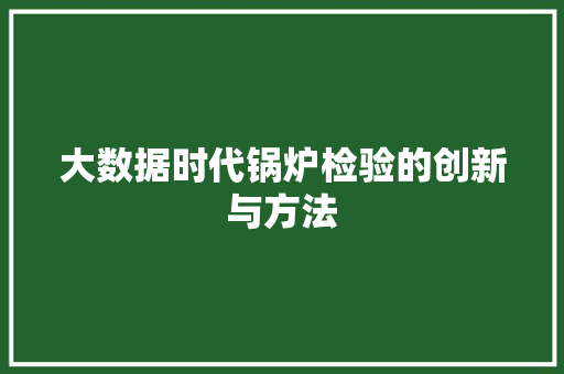 大数据时代锅炉检验的创新与方法