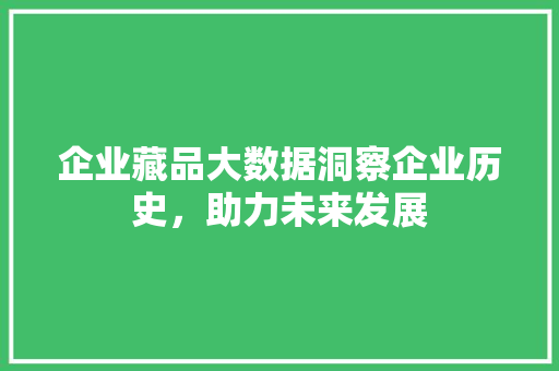 企业藏品大数据洞察企业历史，助力未来发展