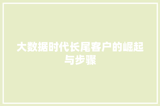 大数据时代长尾客户的崛起与步骤  第1张