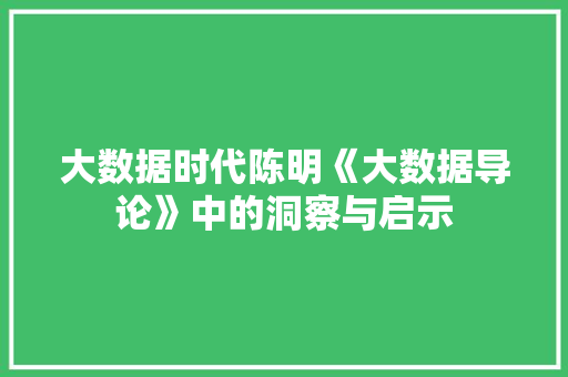 大数据时代陈明《大数据导论》中的洞察与启示