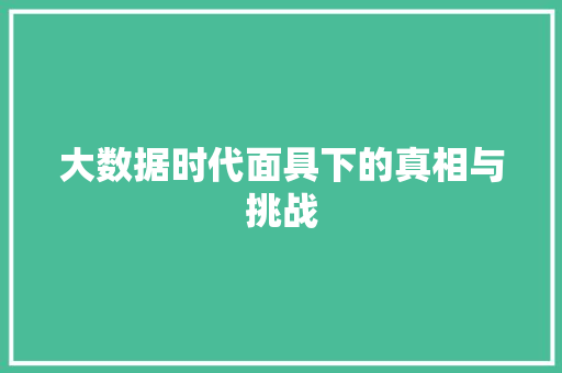 大数据时代面具下的真相与挑战  第1张