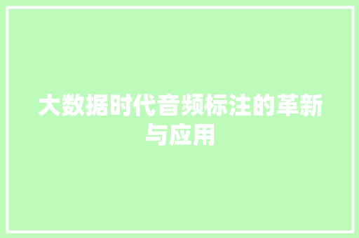 大数据时代音频标注的革新与应用