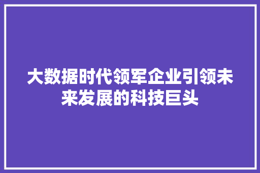 大数据时代领军企业引领未来发展的科技巨头  第1张