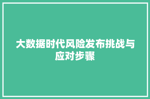 大数据时代风险发布挑战与应对步骤
