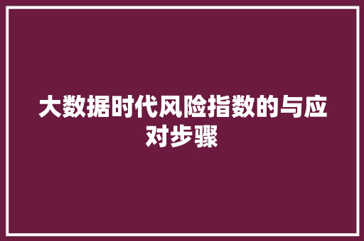 大数据时代风险指数的与应对步骤  第1张