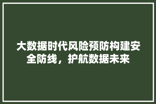 大数据时代风险预防构建安全防线，护航数据未来  第1张