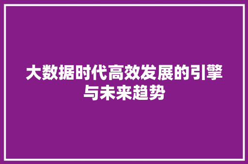 大数据时代高效发展的引擎与未来趋势  第1张