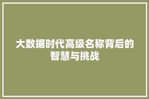 大数据时代高级名称背后的智慧与挑战