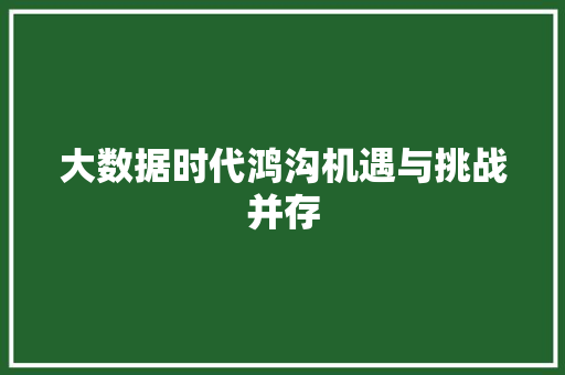 大数据时代鸿沟机遇与挑战并存