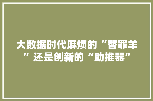 大数据时代麻烦的“替罪羊”还是创新的“助推器”  第1张