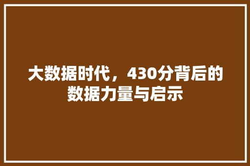 大数据时代，430分背后的数据力量与启示