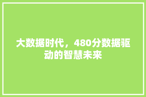 大数据时代，480分数据驱动的智慧未来  第1张