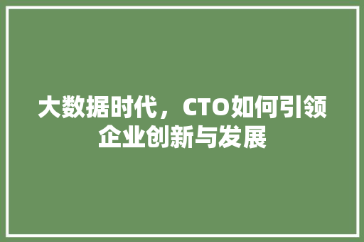 大数据时代，CTO如何引领企业创新与发展  第1张