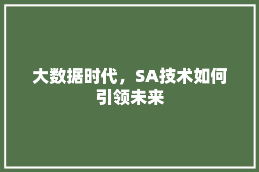 大数据时代，SA技术如何引领未来  第1张