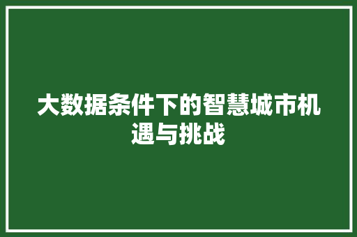 大数据条件下的智慧城市机遇与挑战  第1张