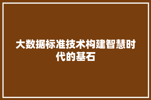 大数据标准技术构建智慧时代的基石  第1张