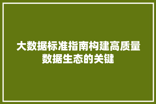 大数据标准指南构建高质量数据生态的关键  第1张