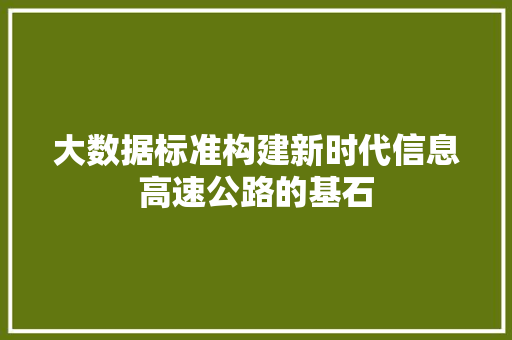 大数据标准构建新时代信息高速公路的基石  第1张