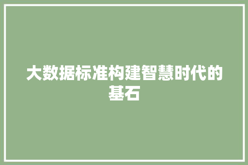 大数据标准构建智慧时代的基石  第1张