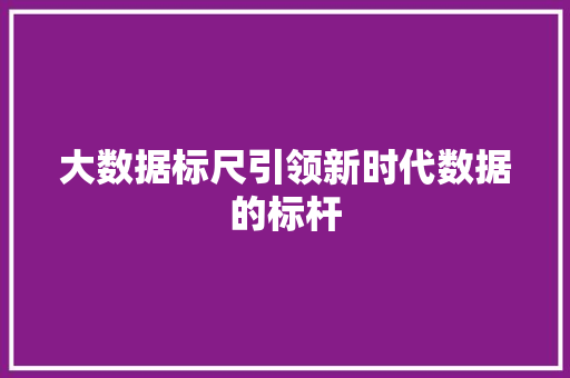 大数据标尺引领新时代数据的标杆