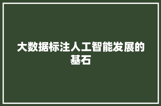 大数据标注人工智能发展的基石  第1张