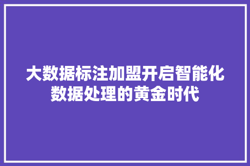 大数据标注加盟开启智能化数据处理的黄金时代  第1张