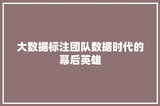 大数据标注团队数据时代的幕后英雄  第1张