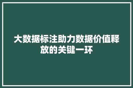 大数据标注助力数据价值释放的关键一环  第1张
