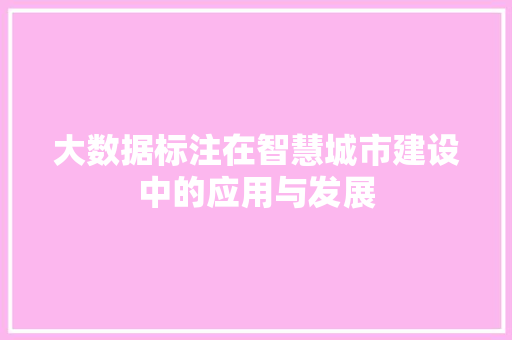 大数据标注在智慧城市建设中的应用与发展  第1张