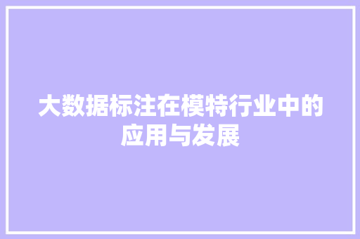 大数据标注在模特行业中的应用与发展