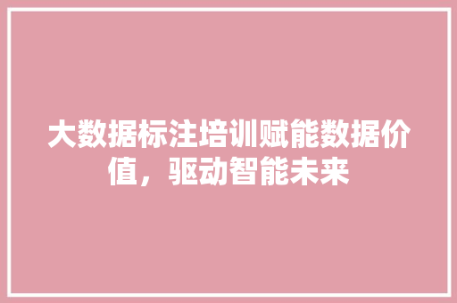 大数据标注培训赋能数据价值，驱动智能未来  第1张
