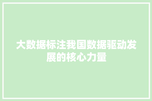 大数据标注我国数据驱动发展的核心力量  第1张