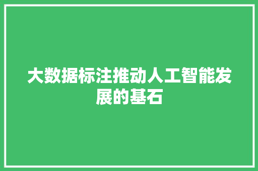 大数据标注推动人工智能发展的基石  第1张