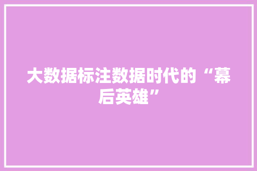 大数据标注数据时代的“幕后英雄”  第1张