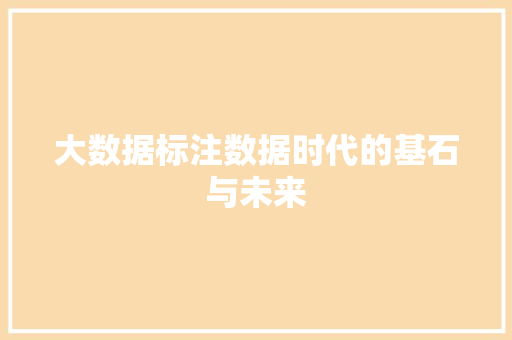 大数据标注数据时代的基石与未来  第1张